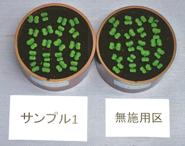 植物育成試驗（噴灑與未噴灑）